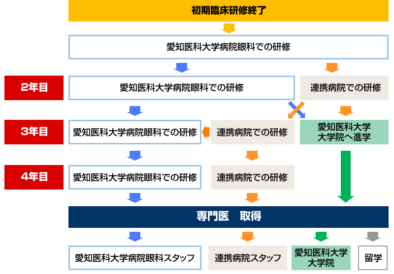 研修過程の図